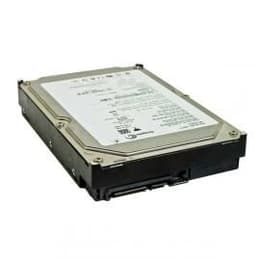 Seagate ST31000524AS - HDD 1000 GB 7200 GHz - SATA