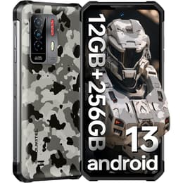 WP27 256 Go - Gris - Débloqué