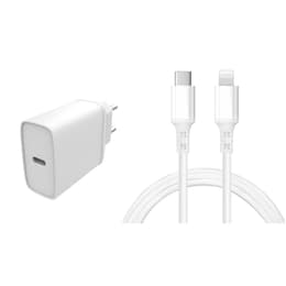 Câble et Prise Murale (USB-C + Lightning) 20W - WTK