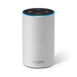 Enceinte Bluetooth Amazon Echo - Gris