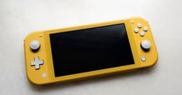 test nintendo switch lite