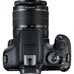 Reflex - Canon EOS 2000D Noir + Objectif Canon EF-S 18-55mm f/3.5-5.6 IS STM