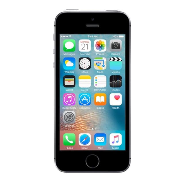 iPhone SE 64 Go - Gris Sidéral - Débloqué