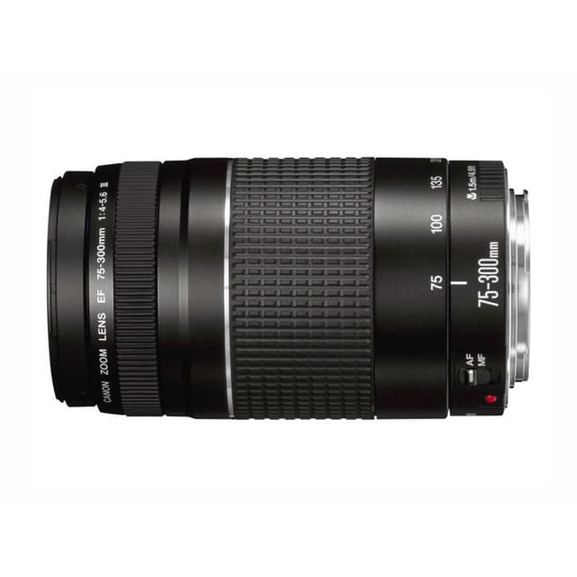 Objectif Canon EF 75-300mm f/4.0-5.6