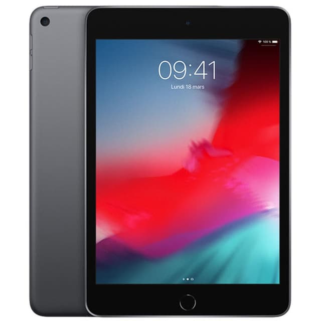 iPad mini 5 (2019) 64 Go - WiFi + 4G - Gris Sidéral - Débloqué