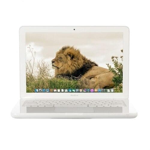 Apple MacBook 13,3” (Mi-2010)